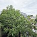 Militari  Gorjului Apartament 4 camere  (6 min. Metrou)